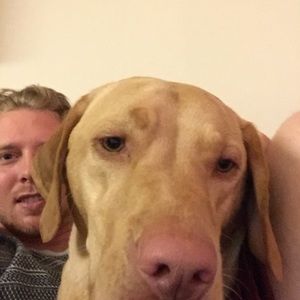 Meet your Posher, Dylan